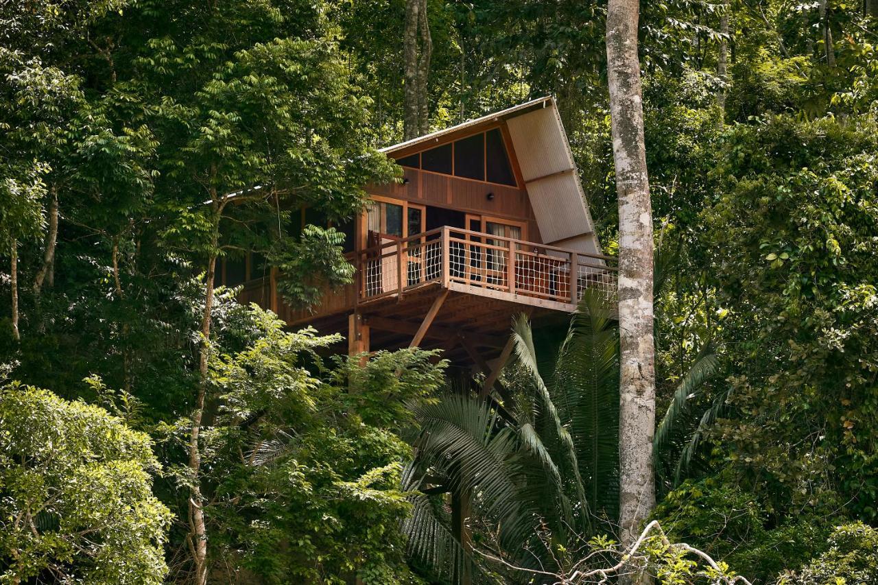 Pumarinri Amazon Lodge Тарапото Екстер'єр фото