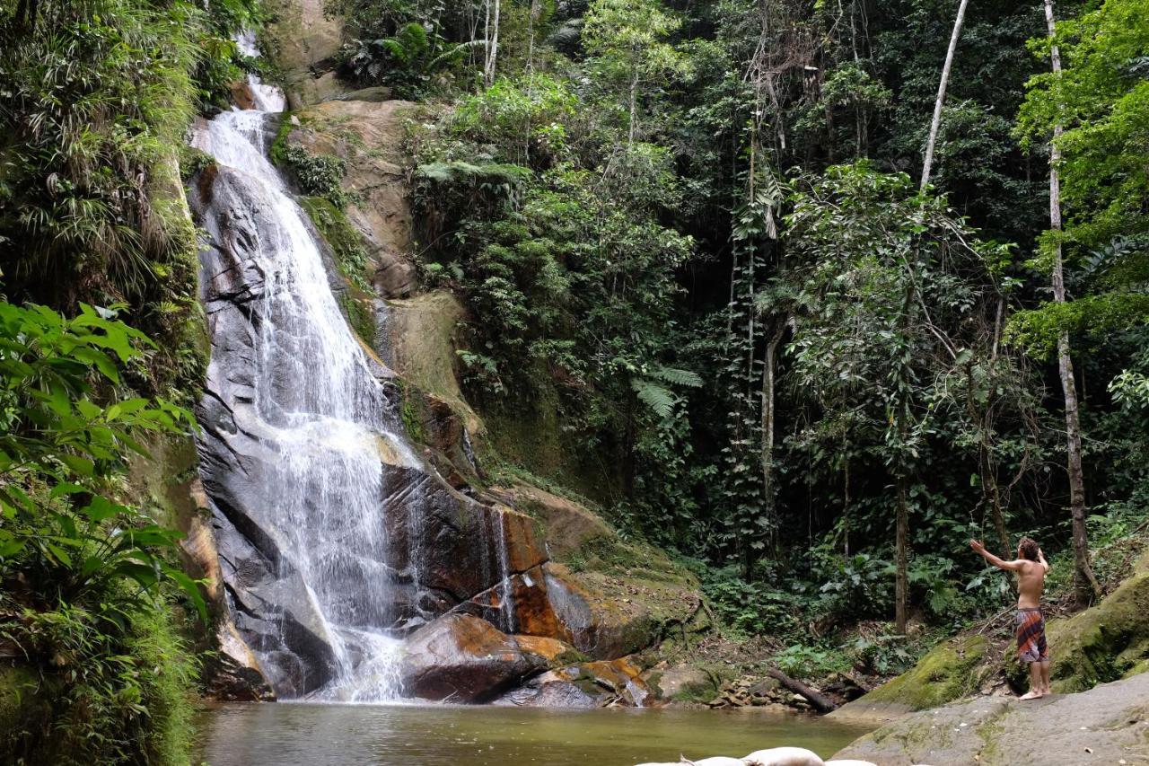 Pumarinri Amazon Lodge Тарапото Екстер'єр фото